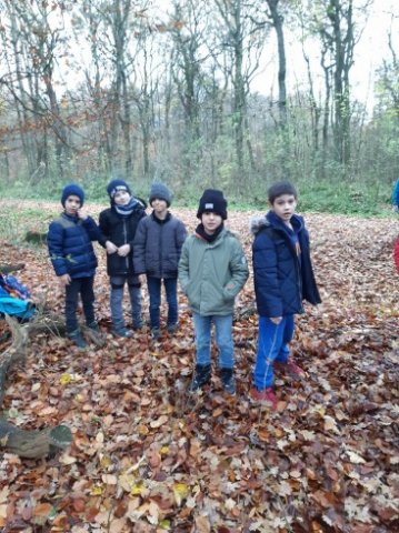 MOL-Waldspiele