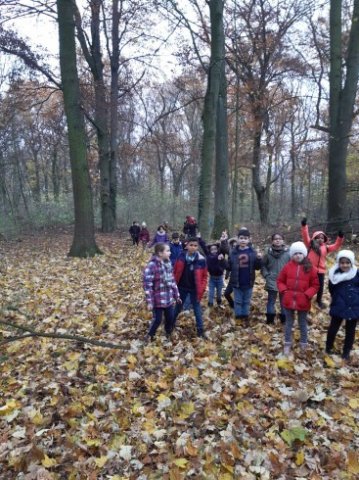 MOL-Waldspiele