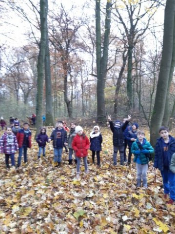 MOL-Waldspiele