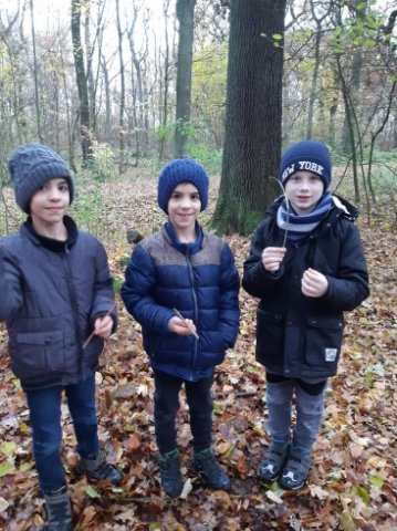 MOL-Waldspiele