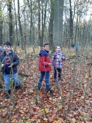 MOL-Waldspiele