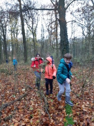 MOL-Waldspiele