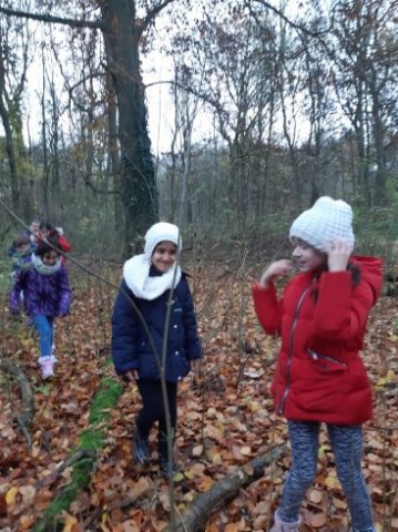 MOL-Waldspiele