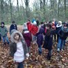 MOL-Waldspiele
