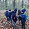 MOL-Waldspiele