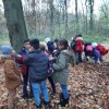 MOL-Waldspiele
