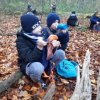 MOL-Waldspiele