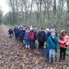 MOL-Waldspiele