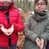 MOL-Waldspiele