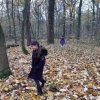 MOL-Waldspiele