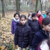 MOL-Waldspiele