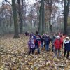 MOL-Waldspiele