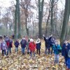 MOL-Waldspiele