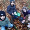 MOL-Waldspiele