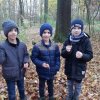 MOL-Waldspiele