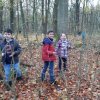 MOL-Waldspiele