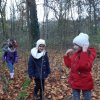 MOL-Waldspiele