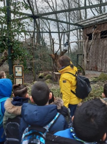 MOL-Zoo