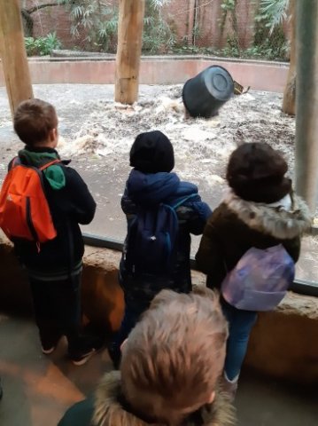 MOL-Zoo