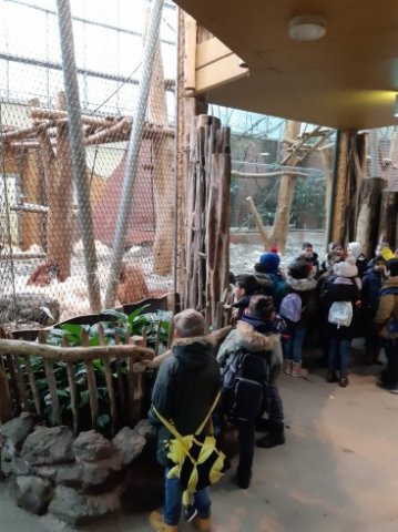 MOL-Zoo