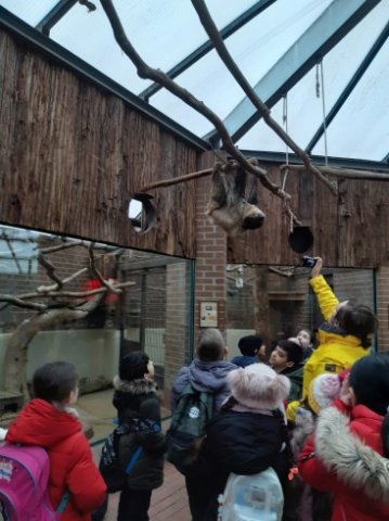 MOL-Zoo