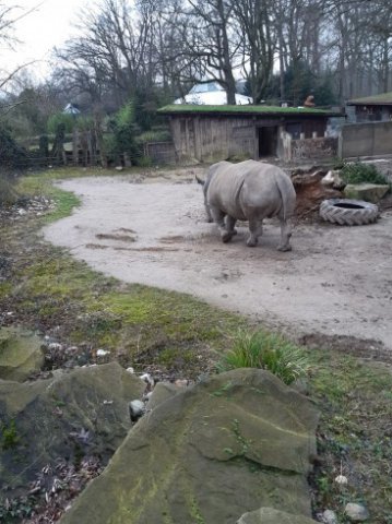 MOL-Zoo