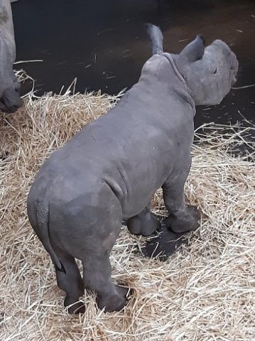 MOL-Zoo