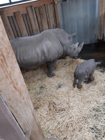 MOL-Zoo
