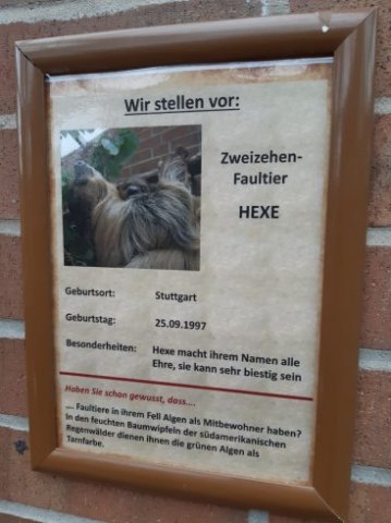 MOL-Zoo