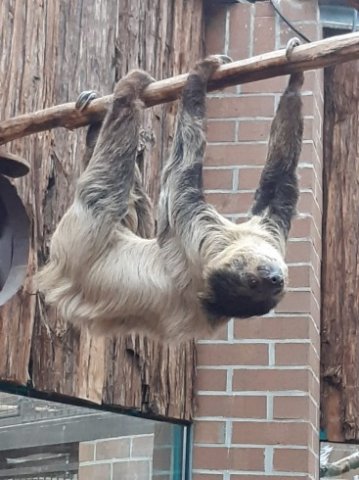 MOL-Zoo