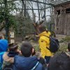 MOL-Zoo