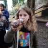 MOL-Zoo