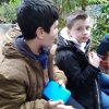 MOL-Zoo