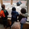 MOL-Zoo