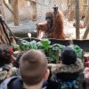 MOL-Zoo