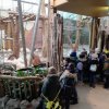 MOL-Zoo