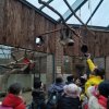 MOL-Zoo