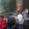 MOL-Zoo