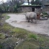 MOL-Zoo