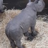 MOL-Zoo