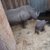 MOL-Zoo