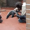 MOL-Zoo