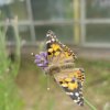 IMG_20220610_133424_367_490_90