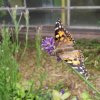 IMG_20220610_133427_367_490_90
