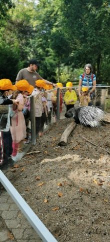SCHU-SOB-Zoo