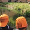 SCHU-SOB-Zoo