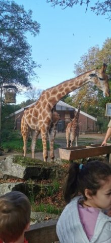 SCHU-SOB-Zoo-2