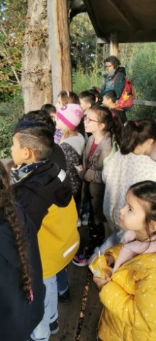 SCHU-SOB-Zoo-2