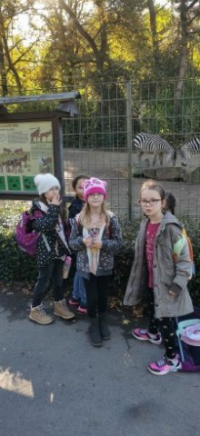 SCHU-SOB-Zoo-2