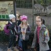 SCHU-SOB-Zoo-2